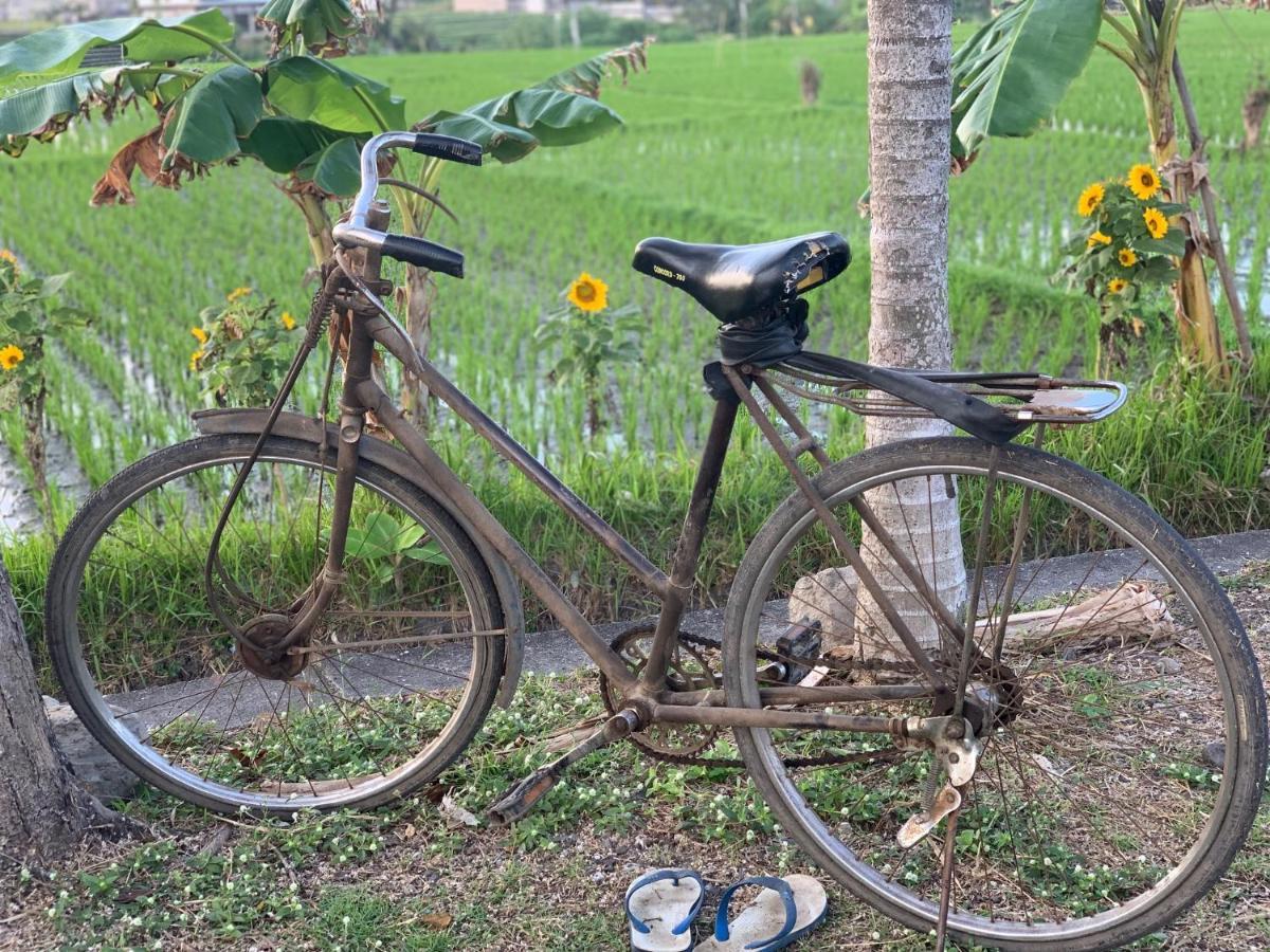 Villa Padi Canggu Eksteriør billede