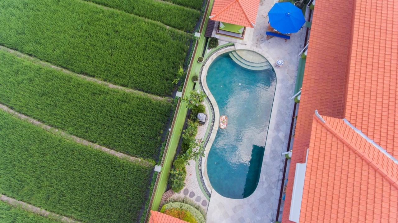 Villa Padi Canggu Eksteriør billede