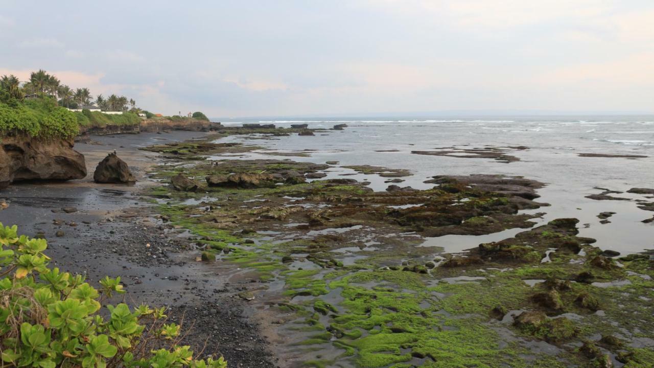 Villa Padi Canggu Eksteriør billede