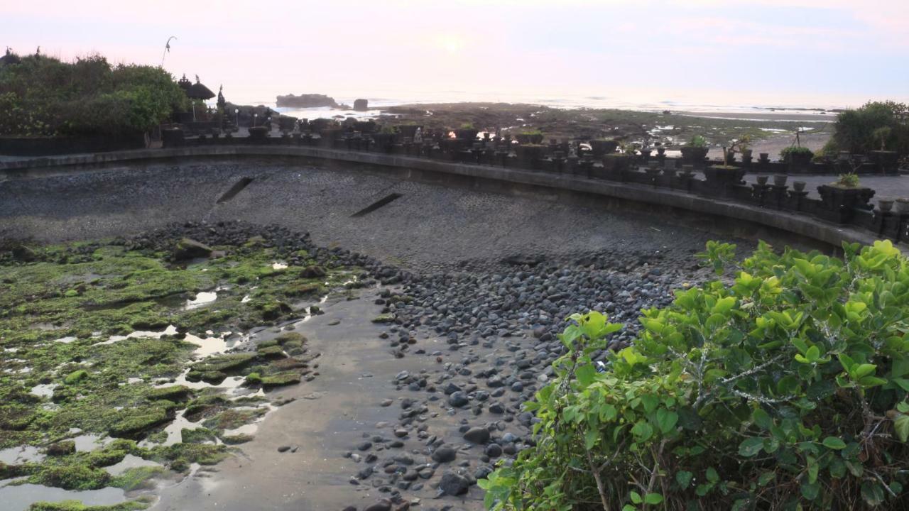 Villa Padi Canggu Eksteriør billede